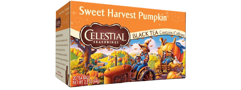 Sweet Harvest Pumpkin